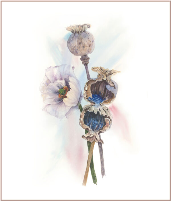 Autumn Poppies: Poppy Whispers