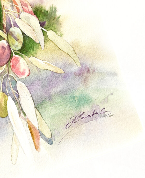 Olive Branch – Rooted in Light - Image 6
