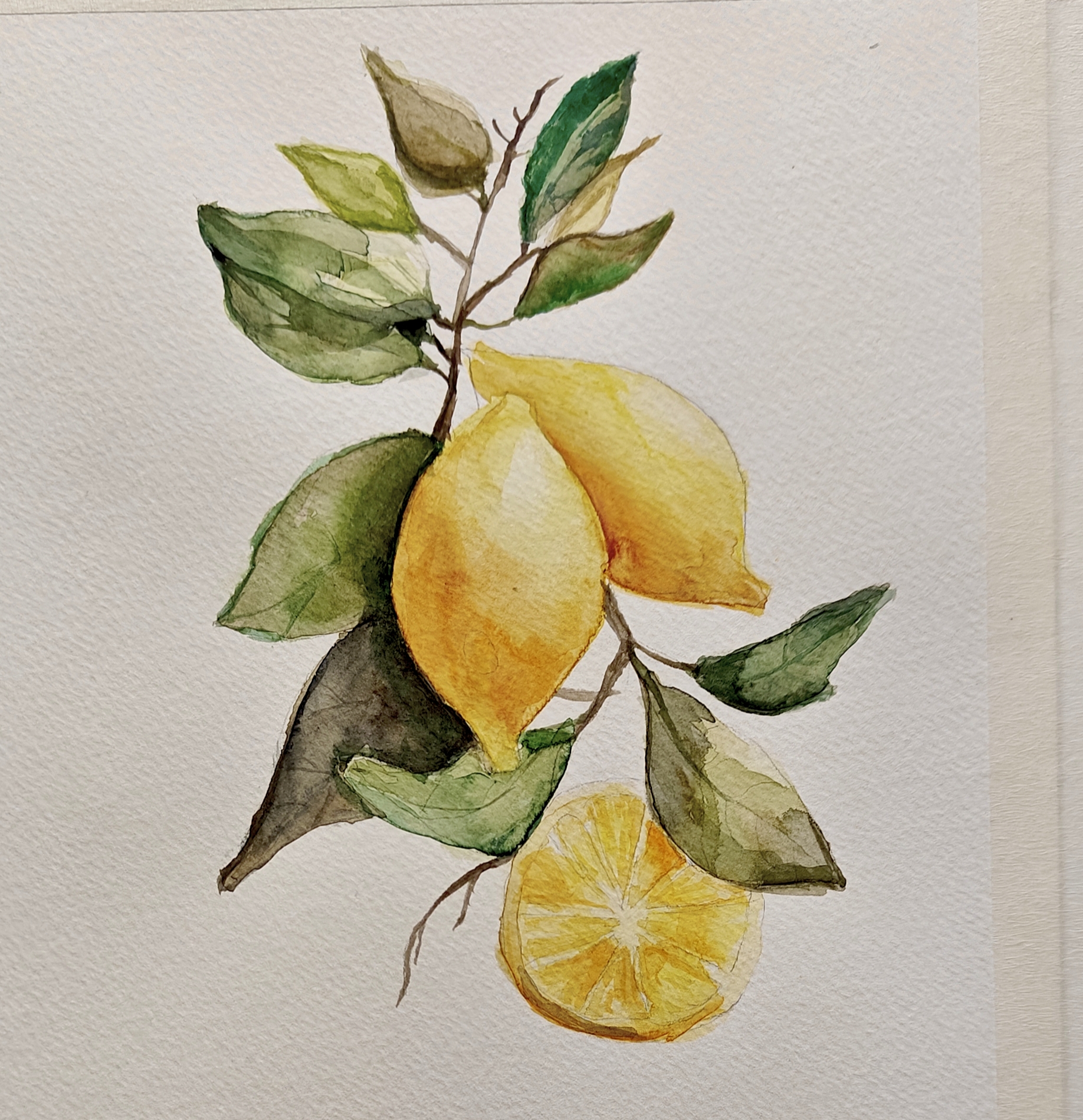 KURZ: Podvečery s akvarelem - Image 11