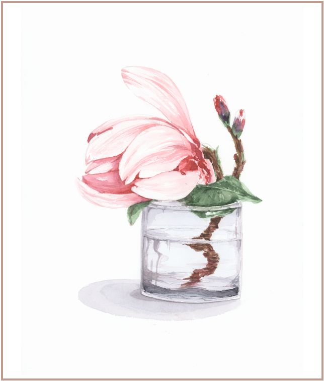 Minimal watercolor painting of a pale pink magnolia flower in a transparent glass vessel on white background, botanical artwork by Martina Hastal.