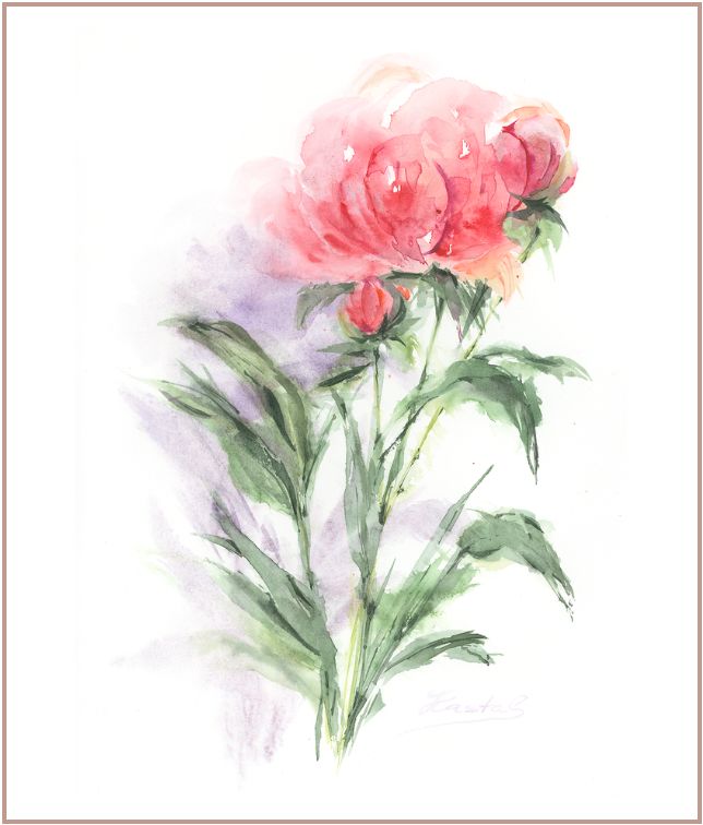 Minimal watercolor painting of a soft pink peony flower with green stems and airy white background, botanical artwork by Martina Hastal.