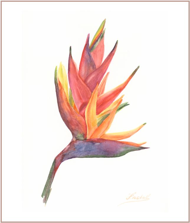 This piece belongs to a series of intimate floral studies