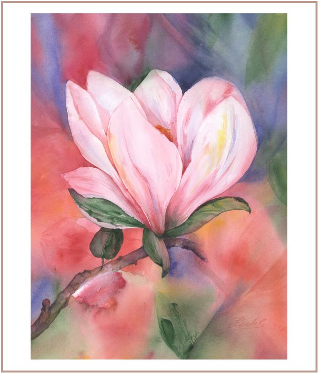 Soft pink magnolia watercolor painting with expressive coral and violet background on white paper.