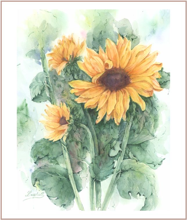 Botanical watercolor painting of golden sunflowers with soft green foliage, airy floral watercolor artwork by Martina Hastal.